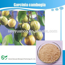 Extracto de garcinia cambogia, 50% 60% 90% HCA